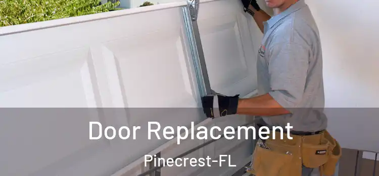  Door Replacement Pinecrest-FL