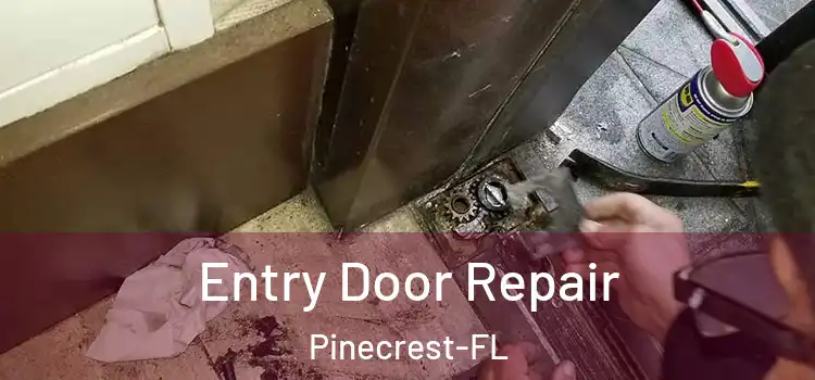  Entry Door Repair Pinecrest-FL