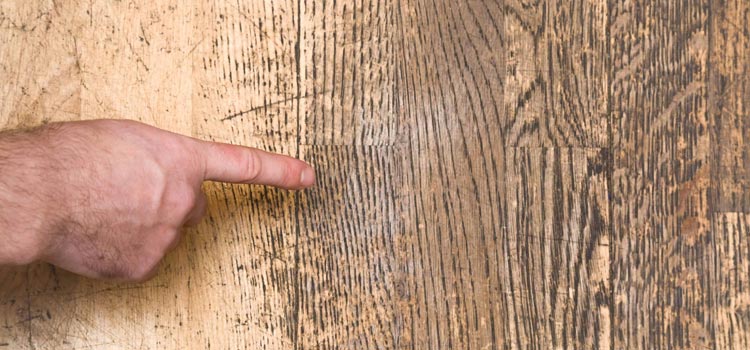 Wood Door Scratch Repair in Pinecrest