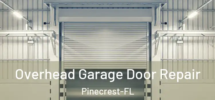  Overhead Garage Door Repair Pinecrest-FL